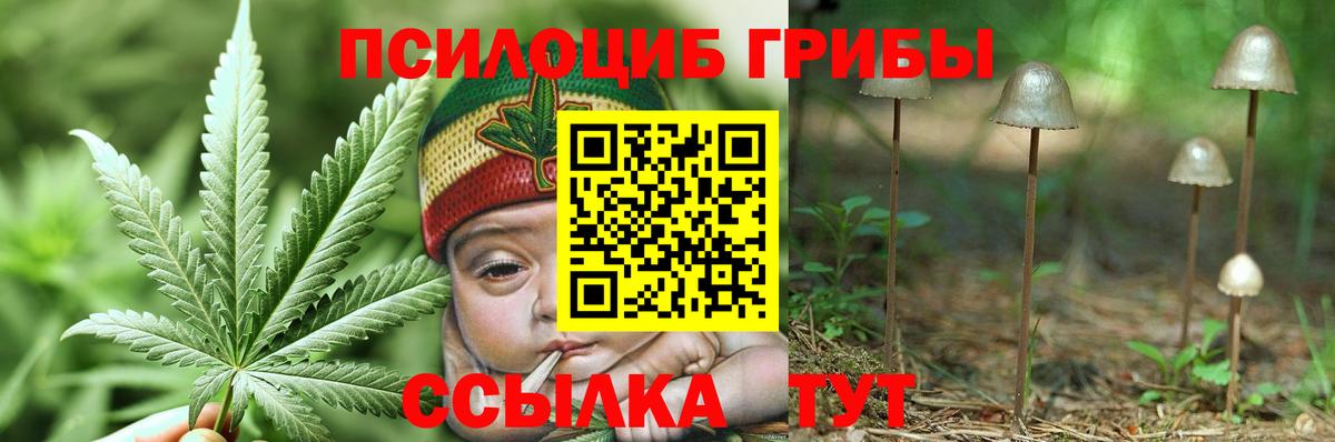 Псилоцибиновые грибы прущие грибы Мытищи