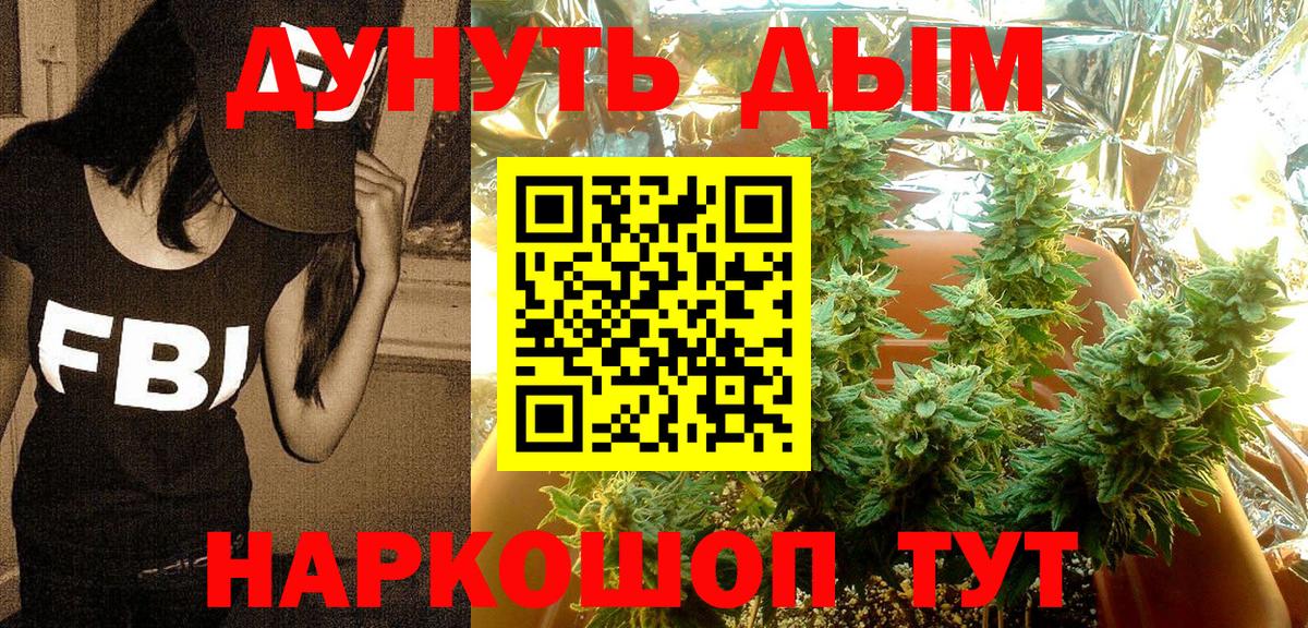 Канабис сатива  Вход с VPN  Бошки марихуана сатива  Мытищи  Конопля Bruce Banner 